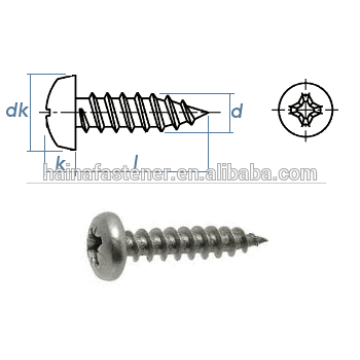 DIN7981stainless steel philips pan head self tapping screw, pan head screw DIN7981